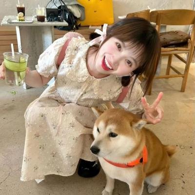 终结的感觉