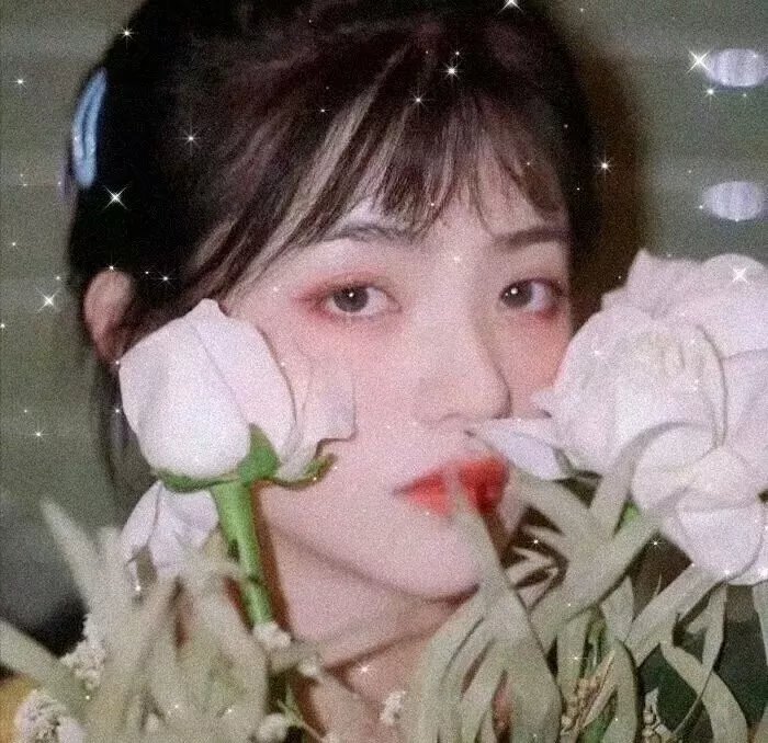 白蛇传情